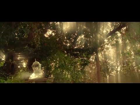 Kitty (2016 short film)