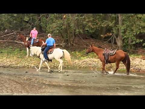 Riverman Trail Rides and Stables