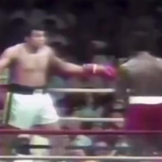 Weaving the Worlds of Undertale and Boxing