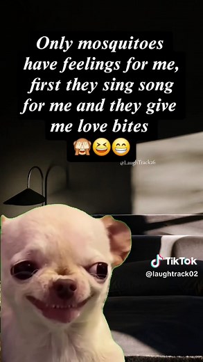 Only mosquitoes have feelings for me, first they sing song for me and they give me love bites 😃😃 #tiktok #viral #trending #fyp #foryoupage