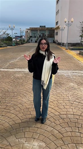 Exploring the Best of Tipaza Events and Activities