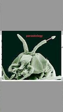 branches of biology/biology introduction