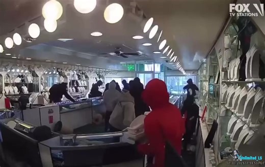 NEW: Another Indian-owned store targeted in California’s smash-and-grab crime waveThe latest violent heist took place on July 1 at Amber Jewelers and Watch Palace in Artesia, California investigators say the suspects fled using stolen getaway vehicles! #news #california | REALWolfhatfacts