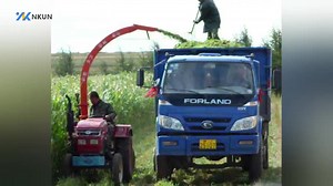 Farm Use Napier Grass Single Row Grass Silage Harvester for Tractor