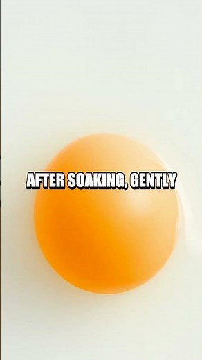 Bouncing Egg Experiment: The Science Behind Osmosis