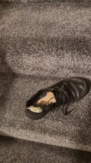 Amanda Tierney (@amandatierney4)’s videos with original sound - SonnyBelectrics