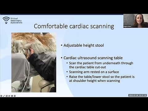 VVS Cardiology Webinar- 'Basic Echocardiography' with Dr Brigite Pedro