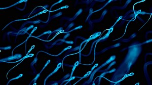 Scientists identify risk factors that damage sperm lead to male infertility