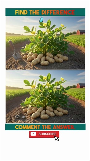 Find The Maximum Difference