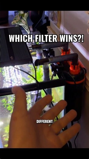 I Ranked the 4 Most Popular Aquarium Filters 👀 #aquariumfilter #fishtankfilter #fishtank