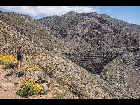 The Goat Canyon Trestle - The World's Largest Wooden Railroad Trestle