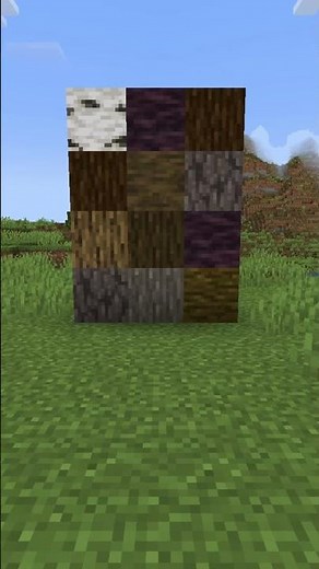 All Logs Give Oak Planks In Old Minecraft #minecraft #minecraftfacts #gaming