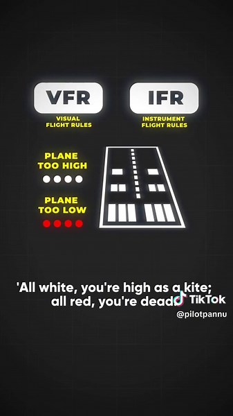 PAPI Lights 🛬 #aviation #landing #pilot #fyp