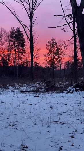Beautiful morning in Michigan #sunrise #Michigan #goodmorning | Suzanne Carrick