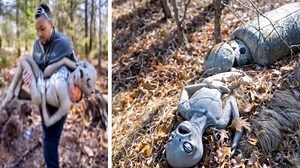 This Guy Found A Deceased Alien, What Happened Next is Shocking | Aliens UFO Caught on Camera