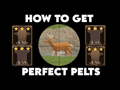 HOW TO GET PERFECT PELTS | Roblox Westbound