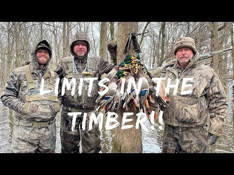Duck Hunting The Arkansas Timber! | Into The Woods With Rusty Creasey