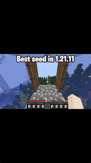 minecraft best seeds