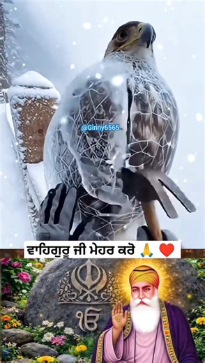 ✨ Naam Japla ✨#punjabi #love#gubani#simran#sikh#khal#wkm#rescue#rescueanimals@GINNY6565 ji