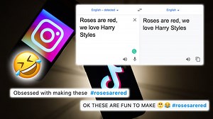 Roses are red challenge: How to make Google Translate memes