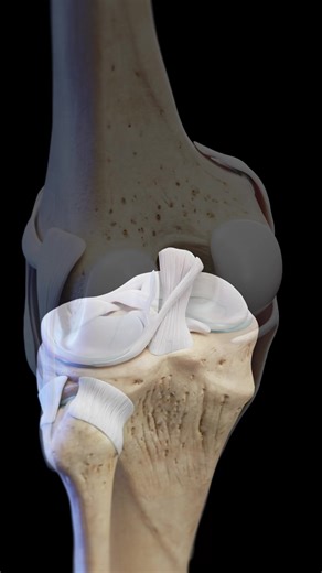 76K views · 1K reactions |  Step Inside the Knee: Cruciate...