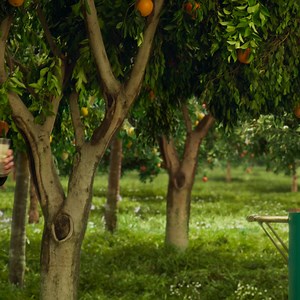 We’re 100% sure Simply Light Lemonade is 1000% delicious. | Simply Beverages