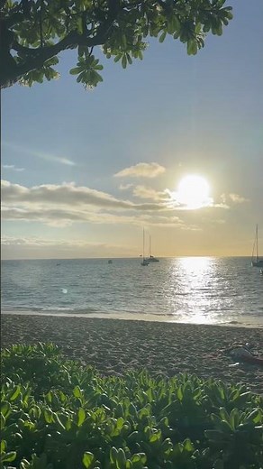 The Westin Maui Resort & Spa Hawaii