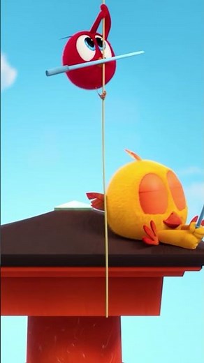 Onde está Chicky? | Chicky não esperava pegar isso | Desenhos Animados Infantil