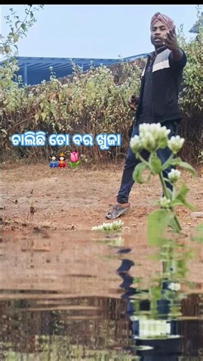 ଚାଲିଛି ତୋ ବର ଖୁଜା🎎🌷