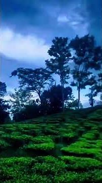 Bangladesh Village Life: Nature and Culture in Rural Bangladesh