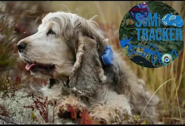 🚨 HUR SKULLE DU HITTA DITT DJUR OM DET FÖRSVANN IDAG? 🚨 Med Safezonekit SuMi TRACKER har du full koll – i realtid, direkt i mobilen 📍 🐾 Live-position – se exakt var ditt djur är 📱 Enkel app – snabb och smidig 🔋 Lång batteritid 📡 Fungerar överallt – inte bara nära som Bluetooth 🛡 Trygghetszoner – få larm direkt 💥 INGET abonnemang 💥 INGEN bindningstid 💥 VALFRITT SIM-kort 👉 Du bestämmer själv – inga dolda kostnader 🔥 ENDAST PÅ MÄSSAN 👉 LEVA O BO I SUNDSVALL MÄSSAN ⭐️ MÄSSPRIS – krafti