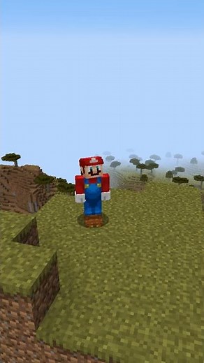 Mario 64 Custom Elytra's Minecraft (3D skin Java) #SuperMario