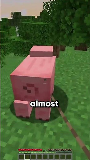 play.blockparty.gg 🎉 #minecraft #smp #javaedition #minecraftserver