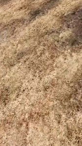 High speed super car vs GIANT BUMP 😲 😲 | The Game Debugger