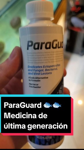 ParaGuard: Solución Avanzada para Peces de Acuario
