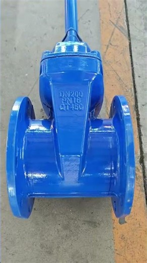 Resilient gate valve with long spindle