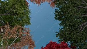 Low level view of colorful trees in spring which rotate in a seamless loop. Perfect frame for spring or autumn scenes.