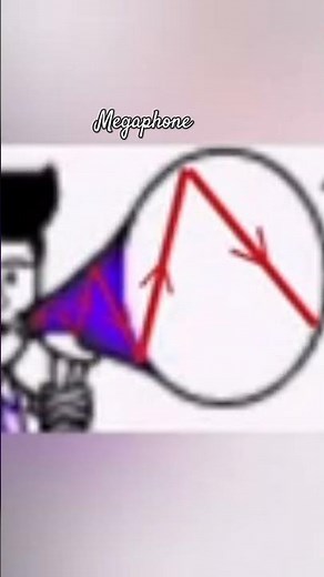 Multiple reflection in a megaphone #reverberations #sound #physicsfun