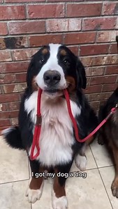 And they're the three best friends that anyone can have. ❤️ (📷: thegoodhypeofficial/Instagram/TikTok) | E! News