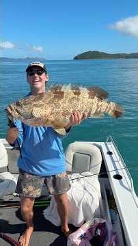 Wresting with a huge Whitsundays Gold Spot Cod!🎣 #fishing #travellingaustralia #whitsundays #foryou