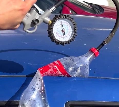 584K views · 525 reactions | Breaking into a car to rescue locked dog left in heat! | Red Koala | Facebook