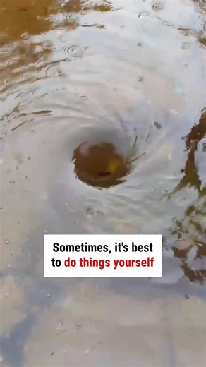 Watching this with the audio on is a real experience🤣 | WTVideo