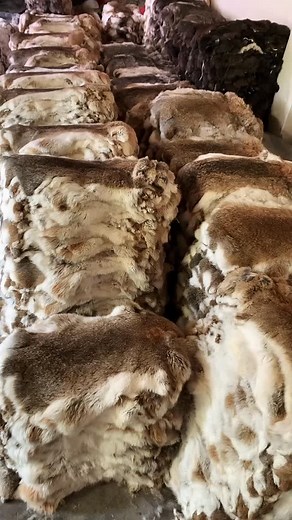 New tanned rabbit whole skin for fly tying | Shifeng Chen