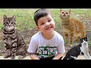 Caleb Plays Outside With CUTE KITTY CAT TIGGER! Caleb Pretend Play with Cats!