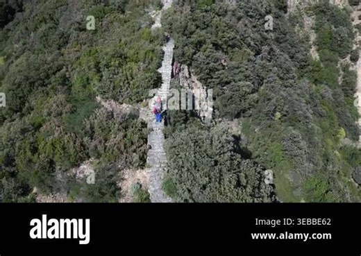 People walking along a stone path in a green, forested area from an aerial perspective Stock Video Footage - Alamy