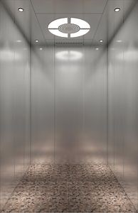 [Hot Item] Machine Roomless Passenger Elevators with Large Space