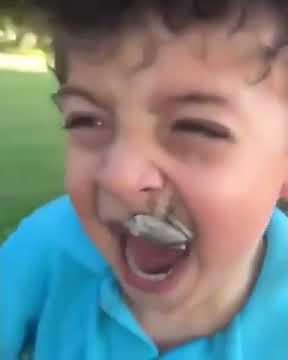 frog scares young boy