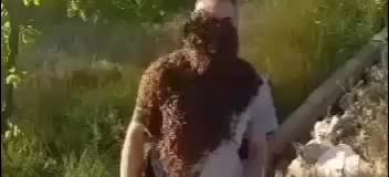 ‏bees king #😍الملك ابو العاشق #ولعيت #نحالين