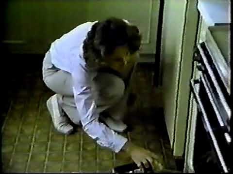 Raid Crack & Crevice Spray ad, 1981