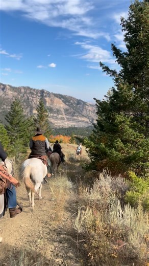 There’s nothing quite like the freedom of the mountains on horseback—moving cattle the way our grandparents did, tied to the land and its rhythm. 🌄🐎 No engines. No pavement. Just you, a good horse, and wide-open country. If you’ve ever dreamed of trading the noise for this kind of peace, now’s your chance—reserve your saddle for next year’s ride and come see what it means to return to your roots #doubleraftercattledrives #cattledrive #travel #adventure #vacation #western #ranch #ranchlife #ran
